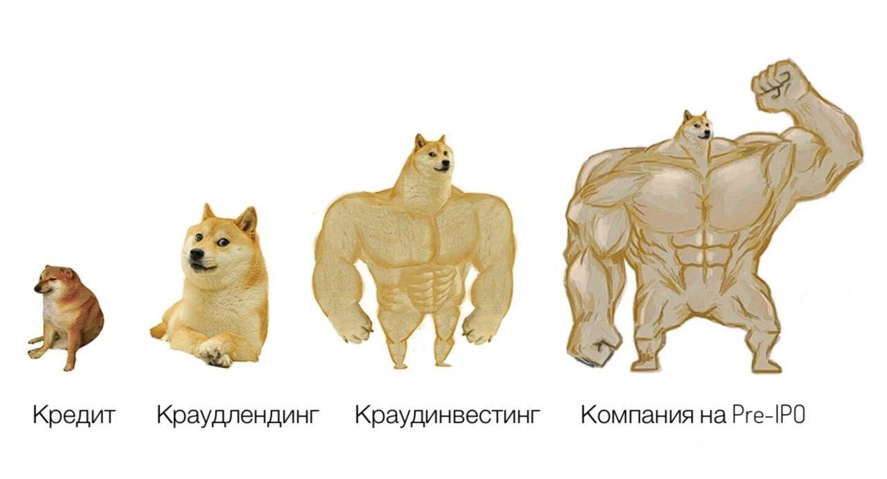 Сегодня мы к вам с масштабным юридическим гайдом о том, как подготовить свой бизнес к инвестициям | Сетка — социальная сеть от hh.ru