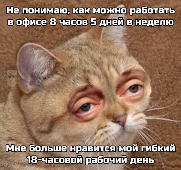 И в завершение трилогии найма предпринимателя #юмор | Сетка — социальная сеть от hh.ru