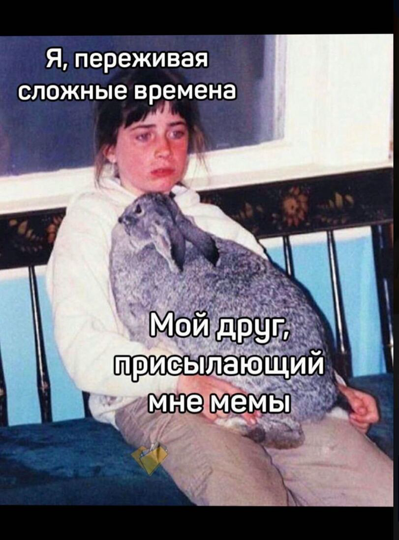 Поддержка 🤝 | Сетка — социальная сеть от hh.ru