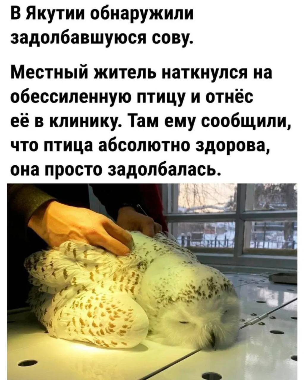 Труженики ! Всех с пятницей и отличного настроения 💕 | Сетка — социальная сеть от hh.ru