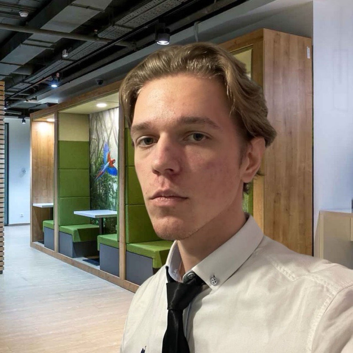 Network member avatar