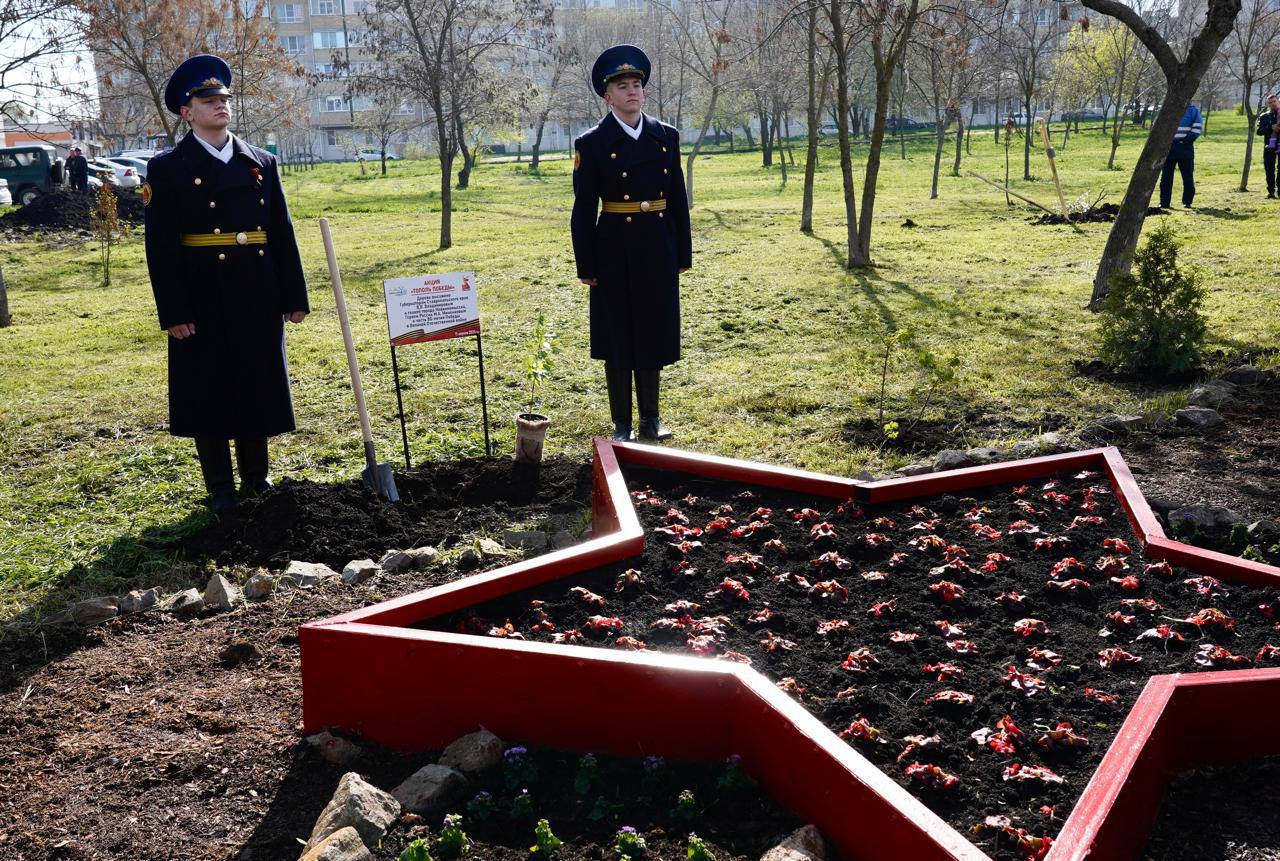 В Невинномысске заложили ещё один «Сад памяти»
Так, в парке Победы города появилось уникальное дерево — саженец Тополя Победы из Волгограда, переданный командой ученых Ставрополью | Сетка — социальная сеть от hh.ru