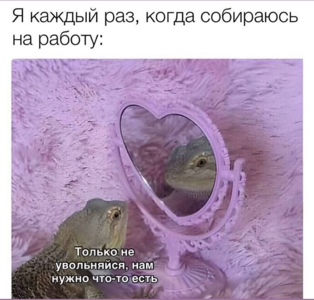 Пятница - а значит время любимых карьерных мемчиков🔥🔥🔥
Отправляйте друзьям для хорошего настроения и присылайте свои в комментарии 👌 | Сетка — социальная сеть от hh.ru