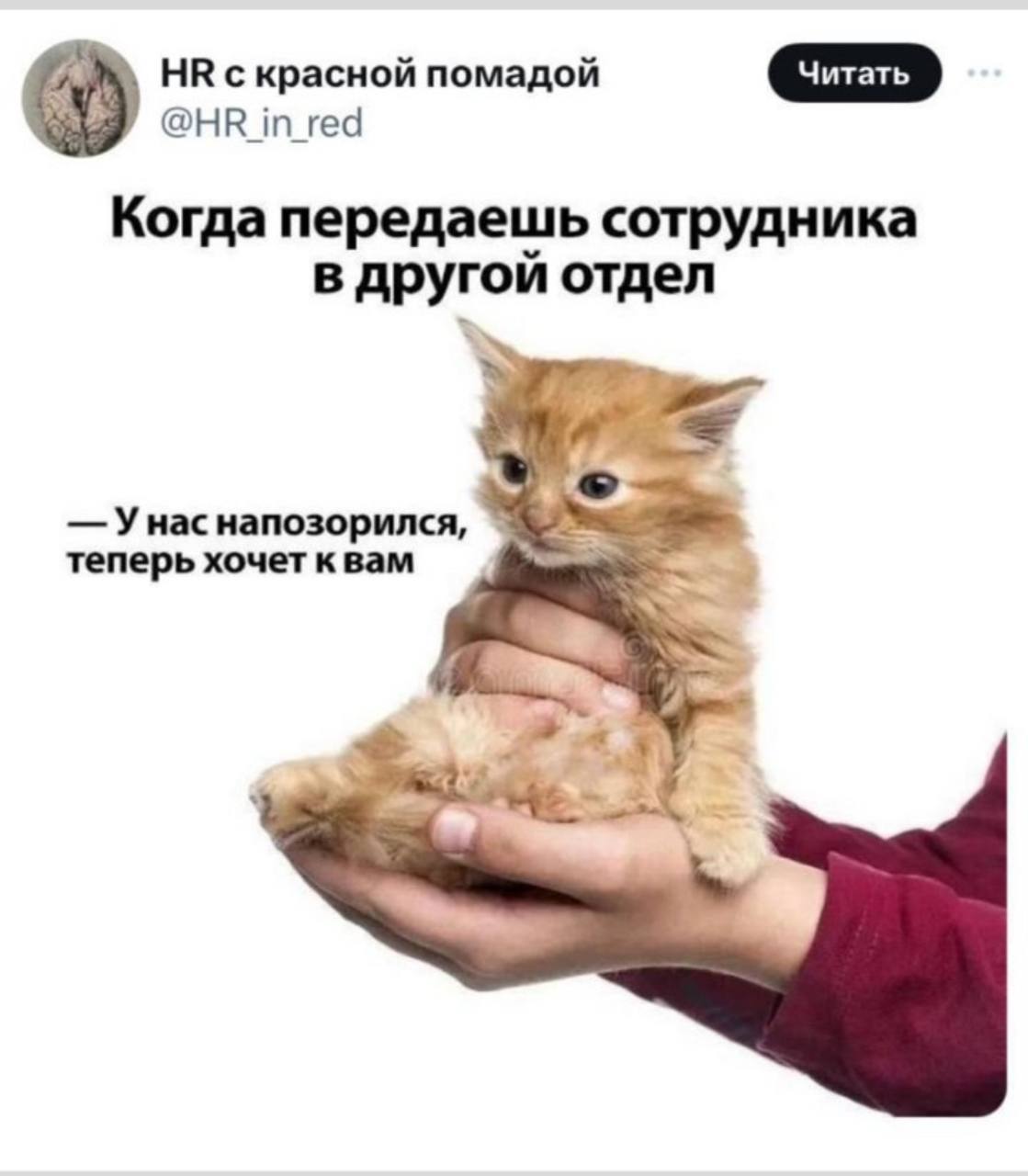 Пятница - а значит время любимых карьерных мемчиков🔥🔥🔥
Отправляйте друзьям для хорошего настроения и присылайте свои в комментарии 👌 | Сетка — социальная сеть от hh.ru