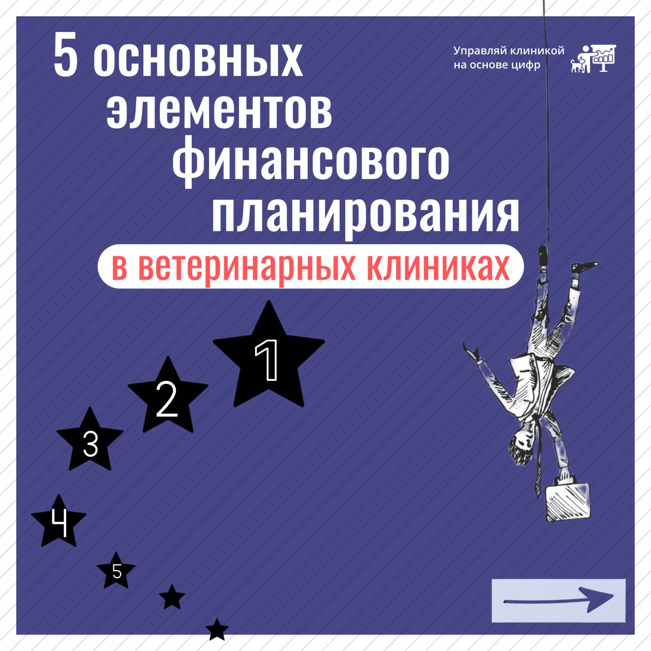 📊 Рост ветеринарной клиники нужно планировать, иначе усилия могут не окупиться
Пример: вы нашли крутого маркетолога, и он привел много лидов | Сетка — социальная сеть от hh.ru