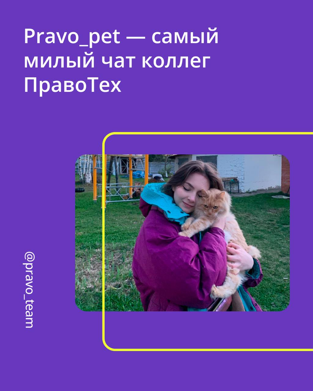 Раскроем самый милый секрет хорошего настроения сотрудников ПравоТех — Pravopet!
Это корпоративный чат, где коллеги делятся фото и видео своих питомцев 🐾 Представили, если бы четвероногие друзья устро... | Сетка — социальная сеть от hh.ru