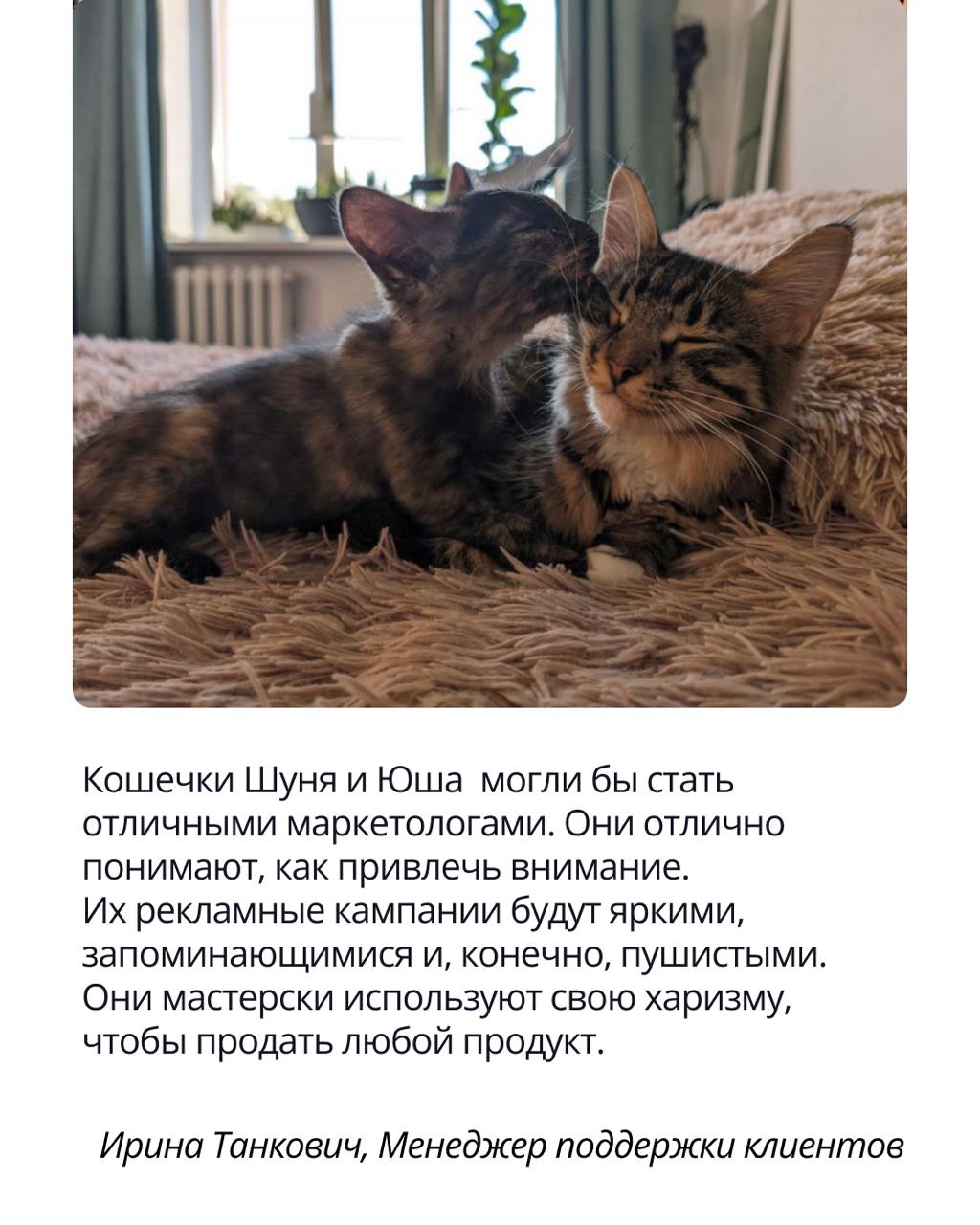 Раскроем самый милый секрет хорошего настроения сотрудников ПравоТех — Pravopet!
Это корпоративный чат, где коллеги делятся фото и видео своих питомцев 🐾 Представили, если бы четвероногие друзья устро... | Сетка — социальная сеть от hh.ru