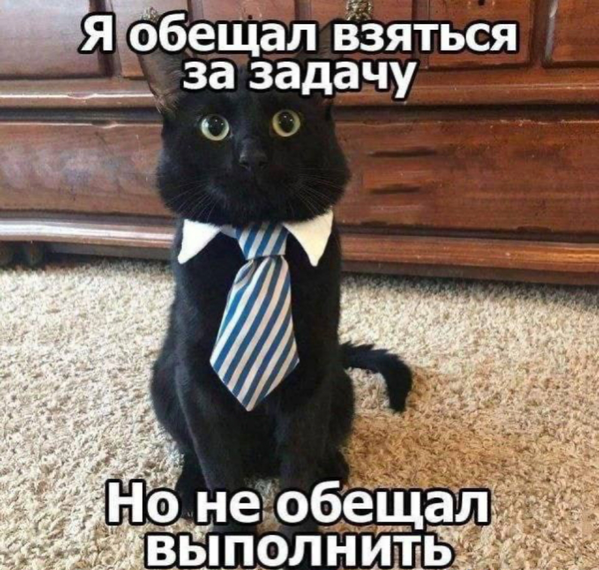 Главное не слышать это от стажёра слишком часто☺️ | Сетка — социальная сеть от hh.ru