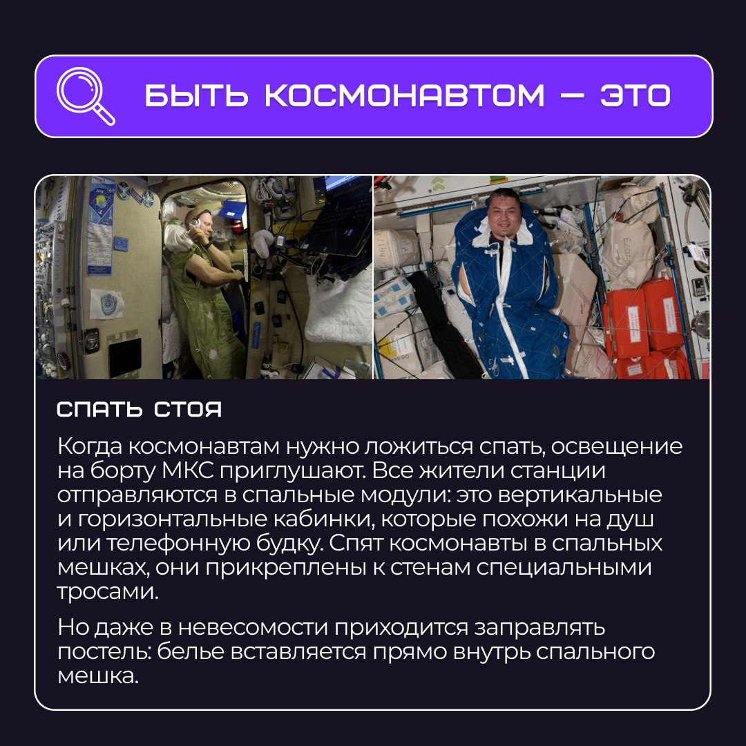 🌚 Хотите прямо сейчас все бросить и стать космонавтом?
Плюсы: Это будет очень интересно и зрелищно.
Минусы: Придется хорошенько потренироваться на Земле до и после полета | Сетка — социальная сеть от hh.ru