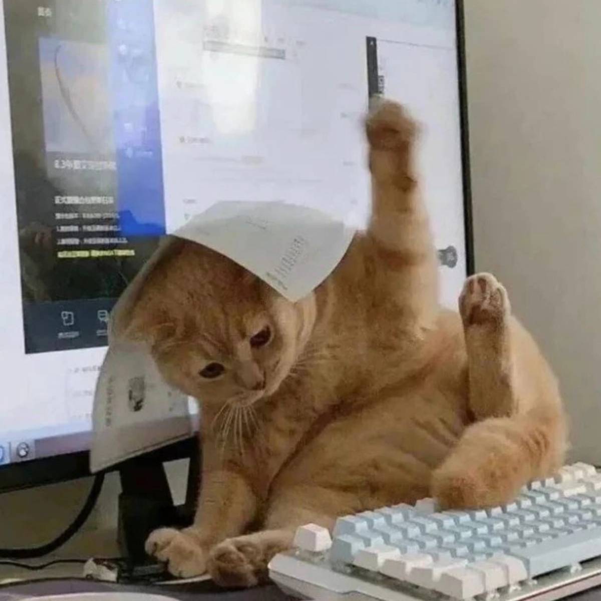 Ангелина Фо