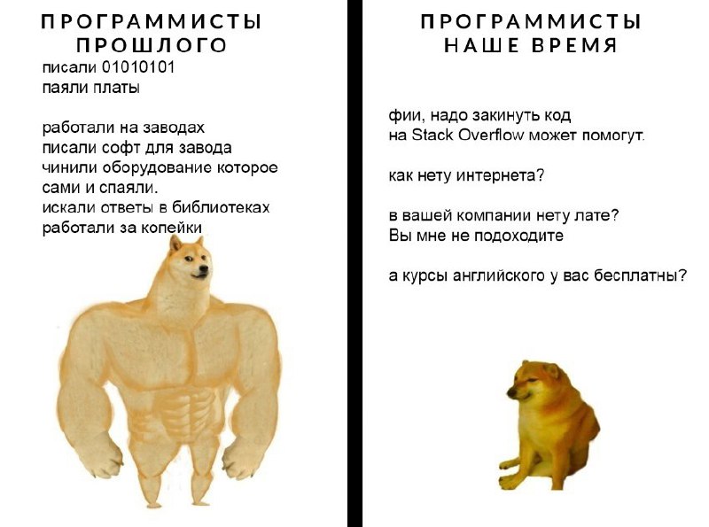 кодеры тут? | Сетка — социальная сеть от hh.ru