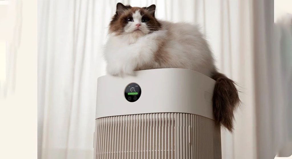 Xiaomi выпустила уничтожитель зловония от домашних животных! Устройство Mijia Pet Air Purifier поможет избавиться от вони кошачьего 💩 в доме или от запаха псины | Сетка — социальная сеть от hh.ru