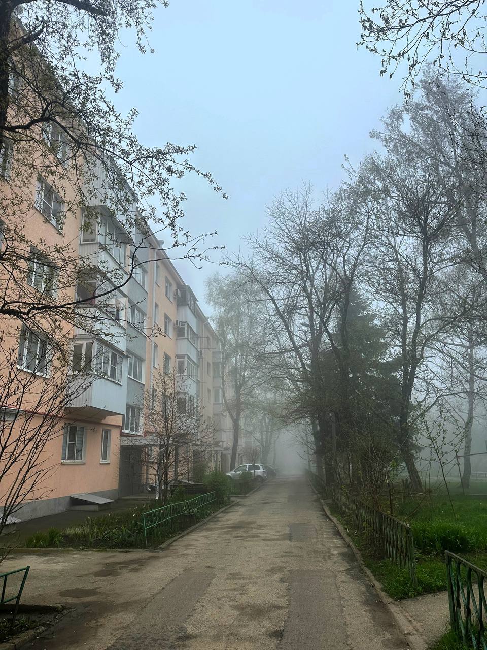 Туманные апрельские кадры
📸Natalyaphoto26stav | Сетка — социальная сеть от hh.ru