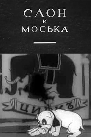 🎥Бесплатные кинопоказы мультфильмов студии «Союзмультфильм»
С 15 апреля по 5 мая
В программе золотая коллекция – «Муха-Цокотуха», «Песенка радости», «Серая шейка» и многие другие шедевры | Сетка — социальная сеть от hh.ru