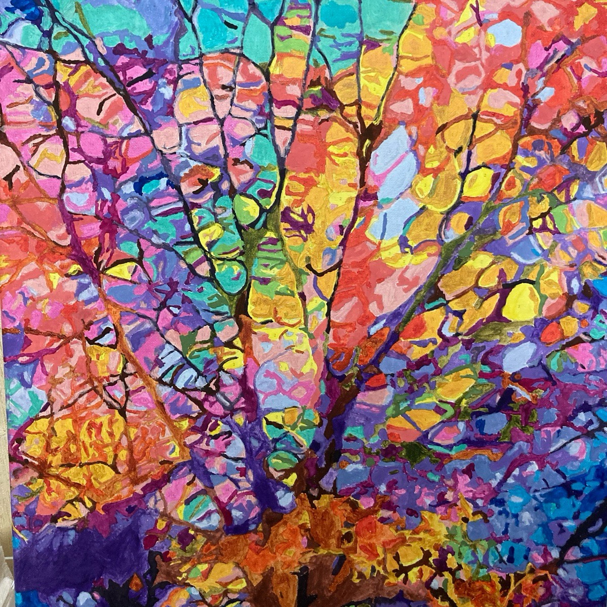 Network member avatar