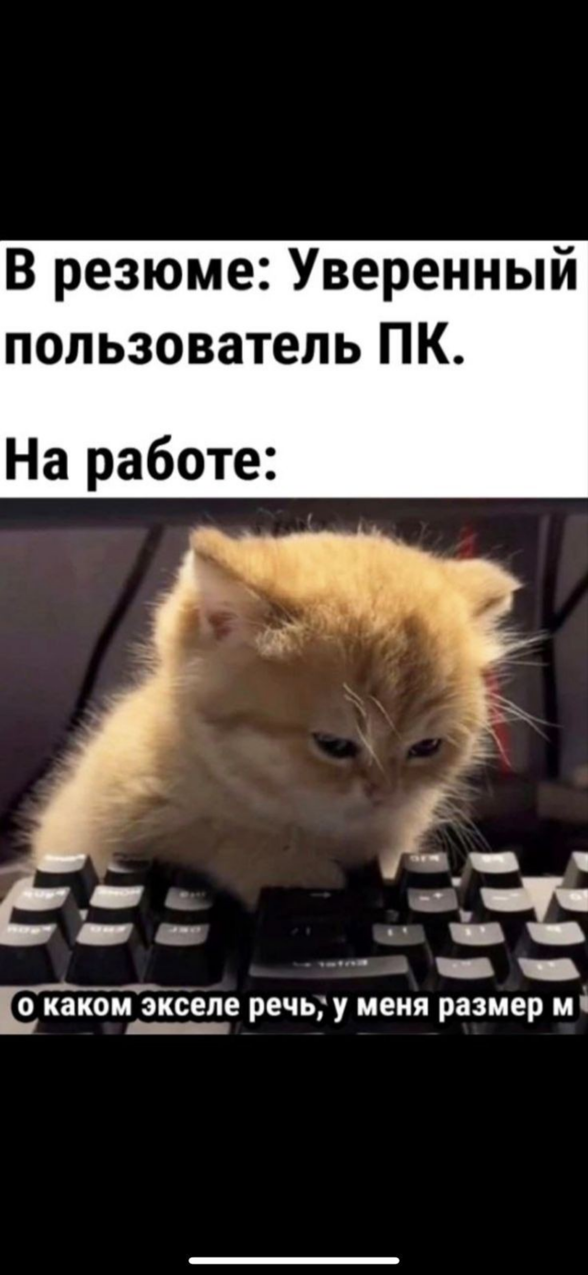8 из 10 приглашений: как я научилась заставлять HR отвечать | Сетка — социальная сеть от hh.ru