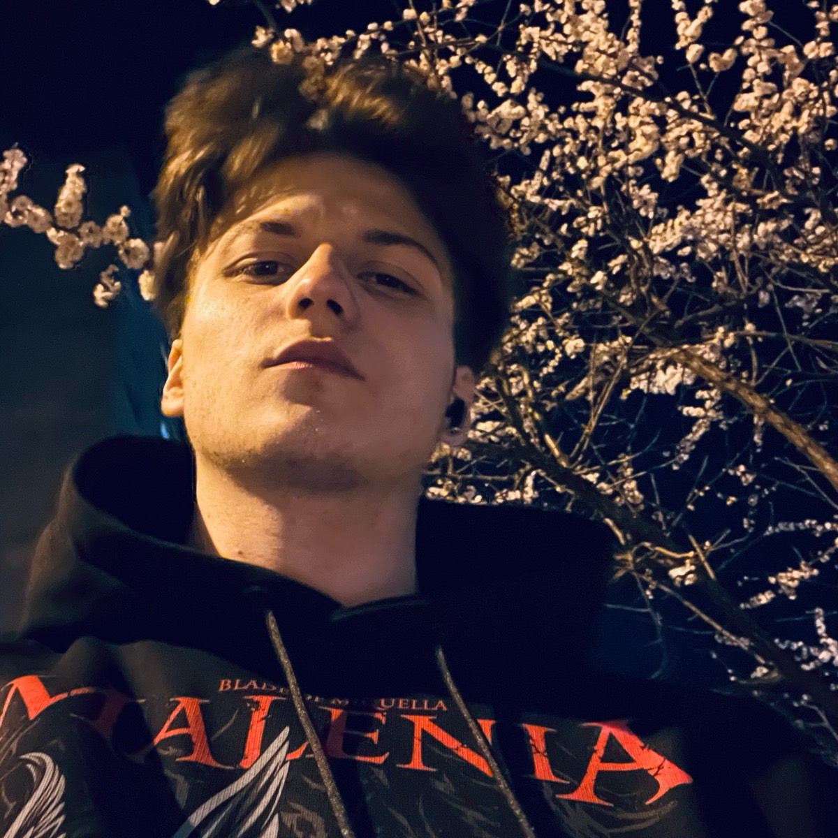 Alexander Falkovsky