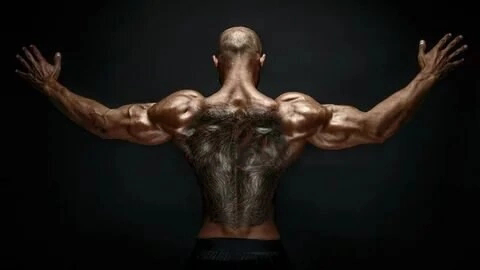 ⛹️МИКРОЗЕЛЕНЬ В СПОТРЕ🚴🚵🧗🏋️🤼🤹🏌️🏌️ | Сетка — социальная сеть от hh.ru