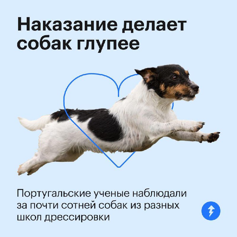 Если у вас есть собака, вам ее не наказать 🥰
Насилие и пренебрежение, даже в «воспитательных» целях, не идет собакам на пользу. Это подтверждают исследования. Рассказываем про них в карточках | Сетка — социальная сеть от hh.ru