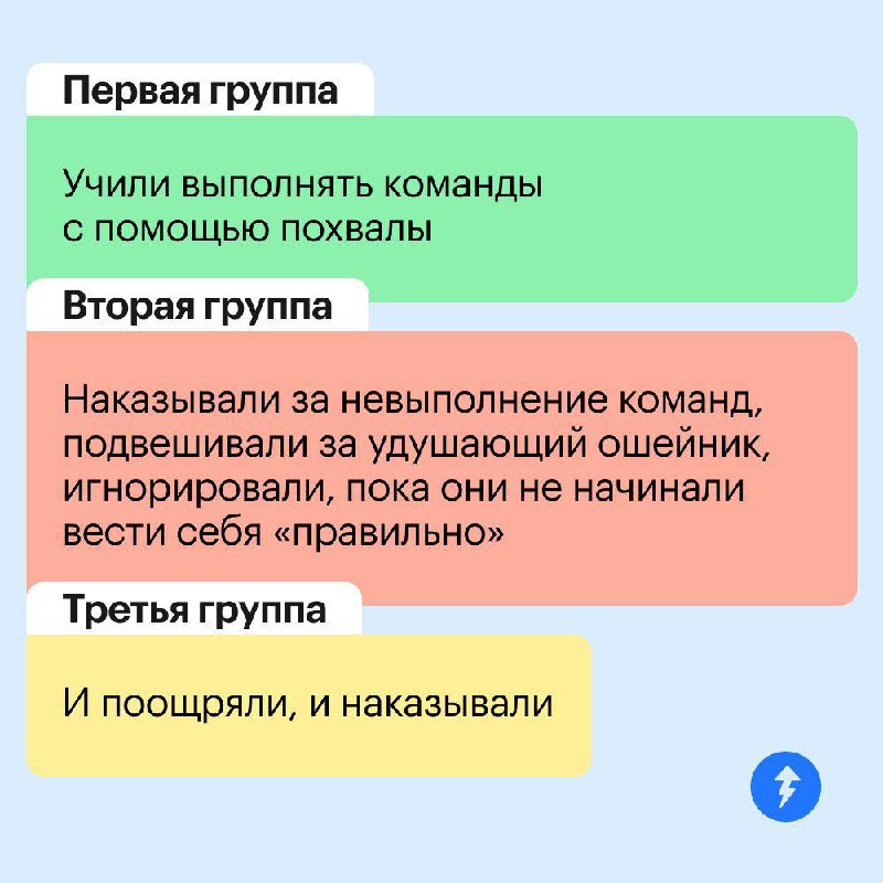 Если у вас есть собака, вам ее не наказать 🥰
Насилие и пренебрежение, даже в «воспитательных» целях, не идет собакам на пользу. Это подтверждают исследования. Рассказываем про них в карточках | Сетка — социальная сеть от hh.ru