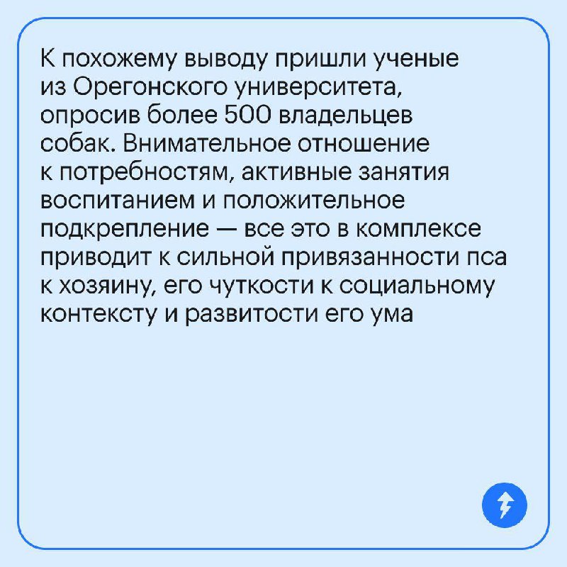 Если у вас есть собака, вам ее не наказать 🥰
Насилие и пренебрежение, даже в «воспитательных» целях, не идет собакам на пользу. Это подтверждают исследования. Рассказываем про них в карточках | Сетка — социальная сеть от hh.ru