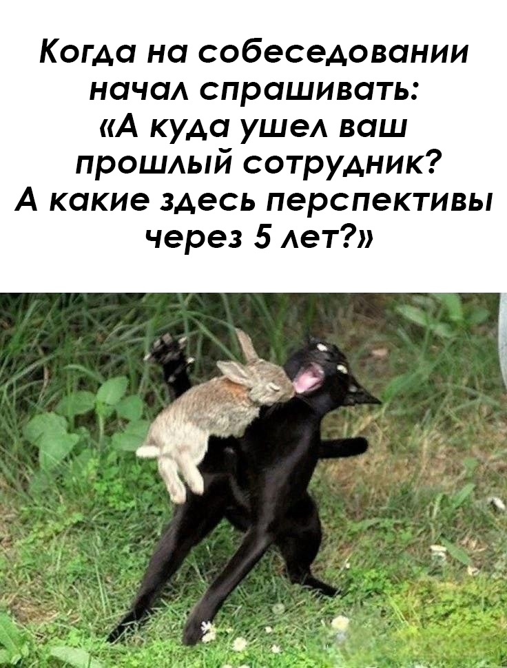 Сетка — социальная сеть от hh.ru