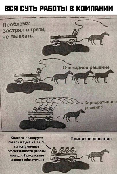 Я чаще всего менял работу именно тогда, | Сетка — социальная сеть от hh.ru
