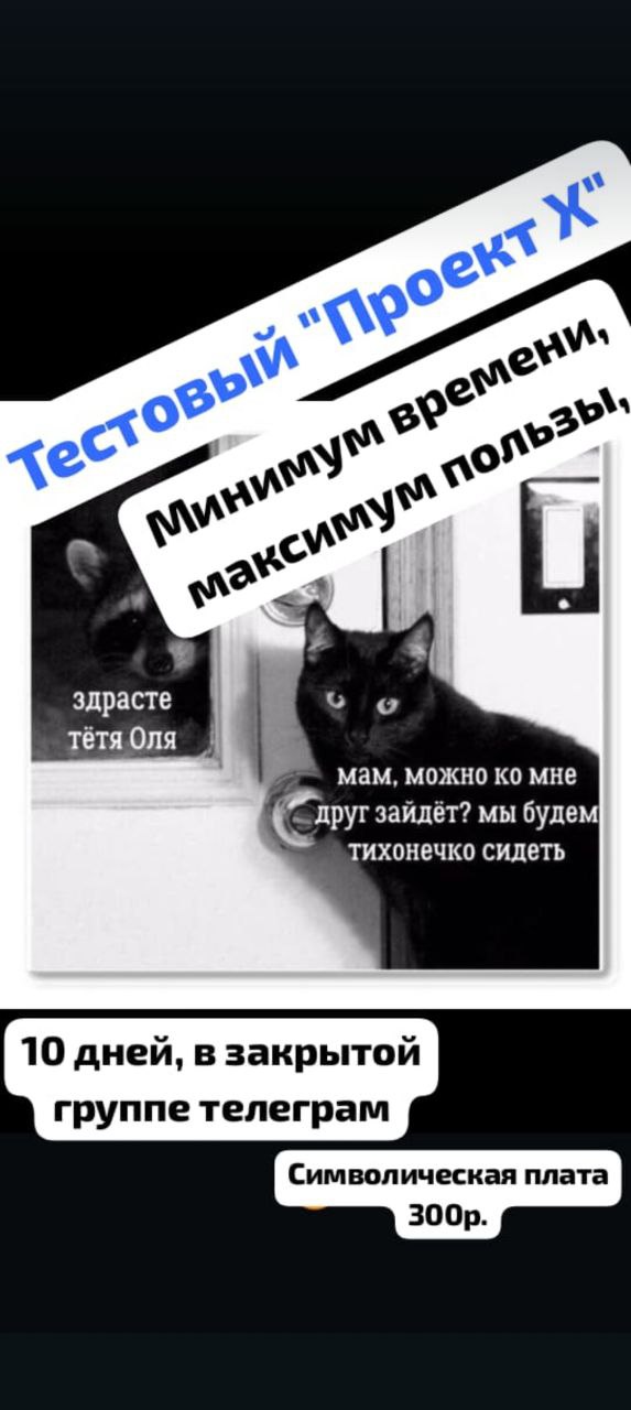 Сегодня стартует Проект. Заходи за ответами🪄 | Сетка — социальная сеть от hh.ru