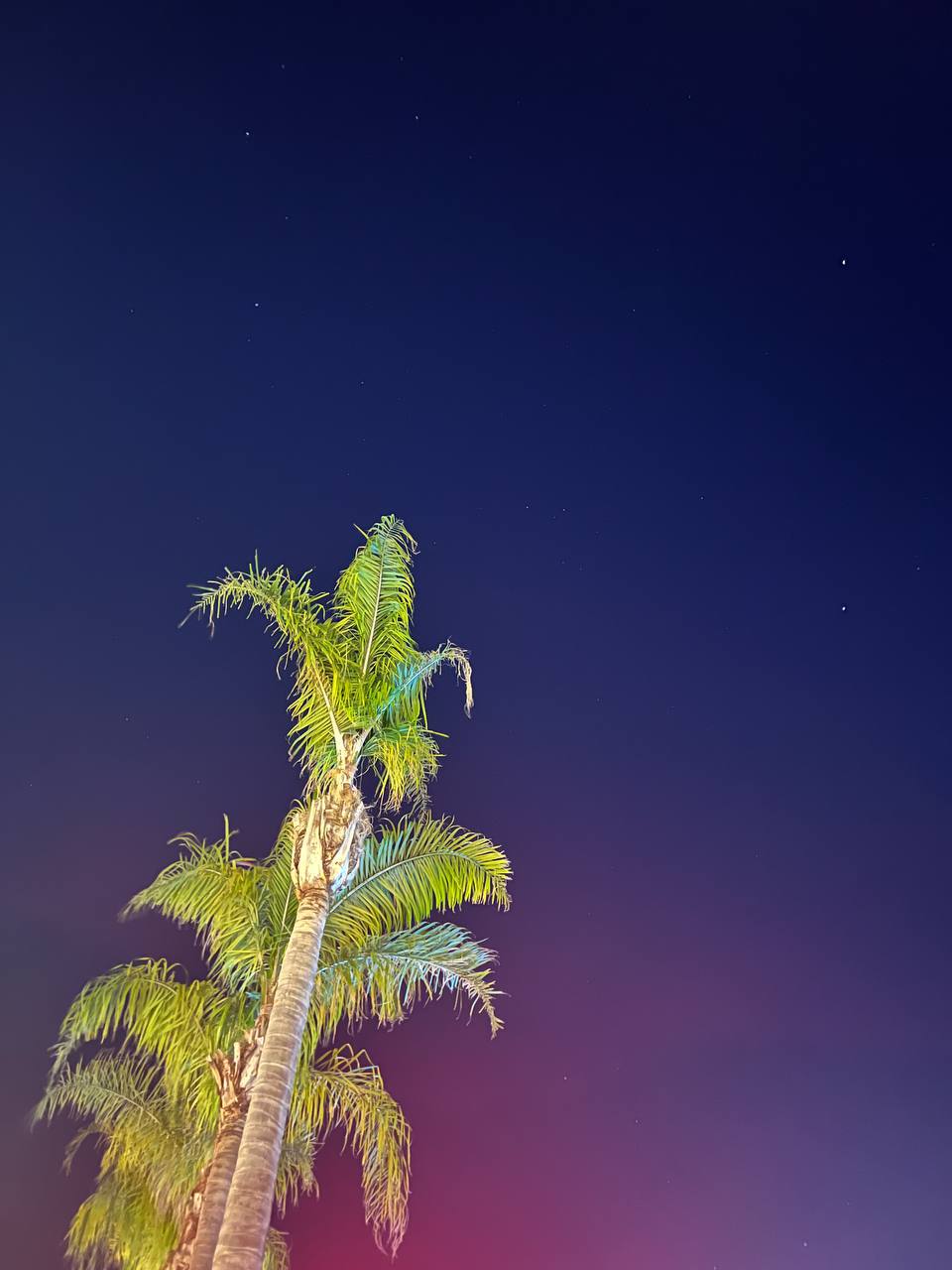 Сегодня последний день моего отпуска. Мысли позже, а пока просто немного фоточек тепла вам в ленты. | Сетка — социальная сеть от hh.ru