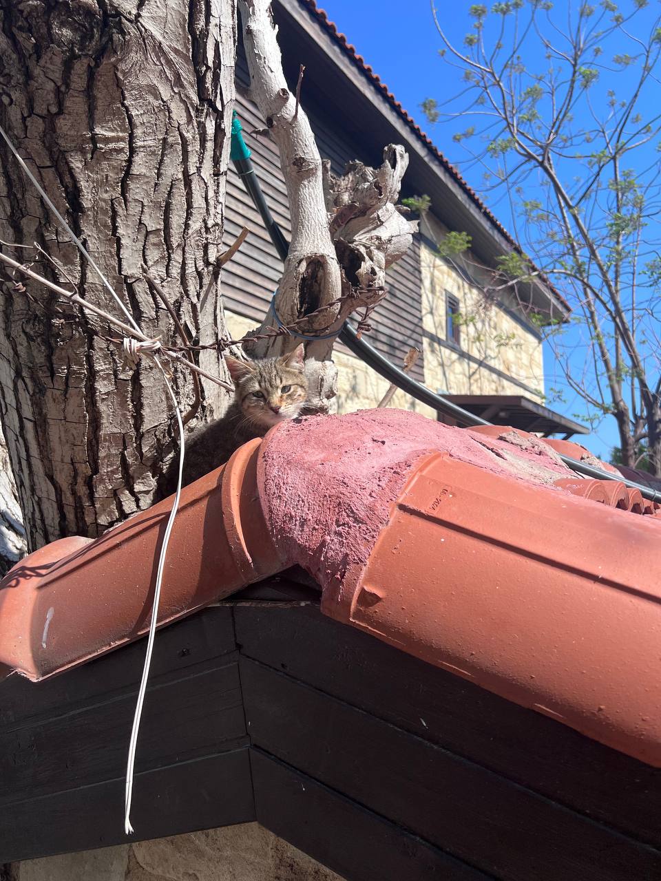 Сегодня последний день моего отпуска. Мысли позже, а пока просто немного фоточек тепла вам в ленты. | Сетка — социальная сеть от hh.ru