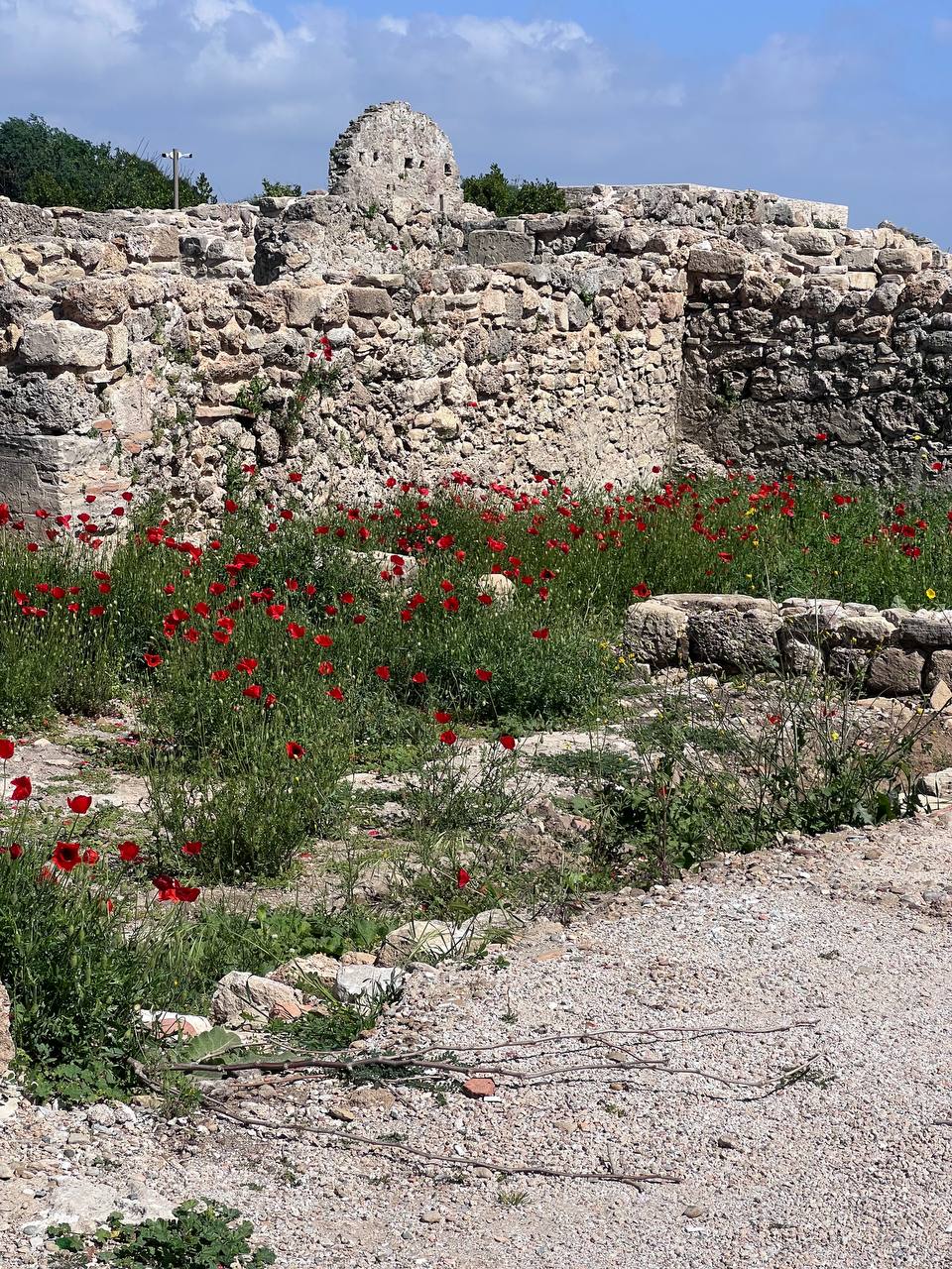 Сегодня последний день моего отпуска. Мысли позже, а пока просто немного фоточек тепла вам в ленты. | Сетка — социальная сеть от hh.ru