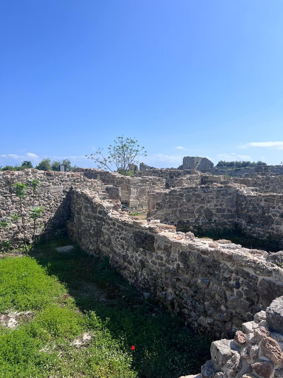Сегодня последний день моего отпуска. Мысли позже, а пока просто немного фоточек тепла вам в ленты. | Сетка — социальная сеть от hh.ru