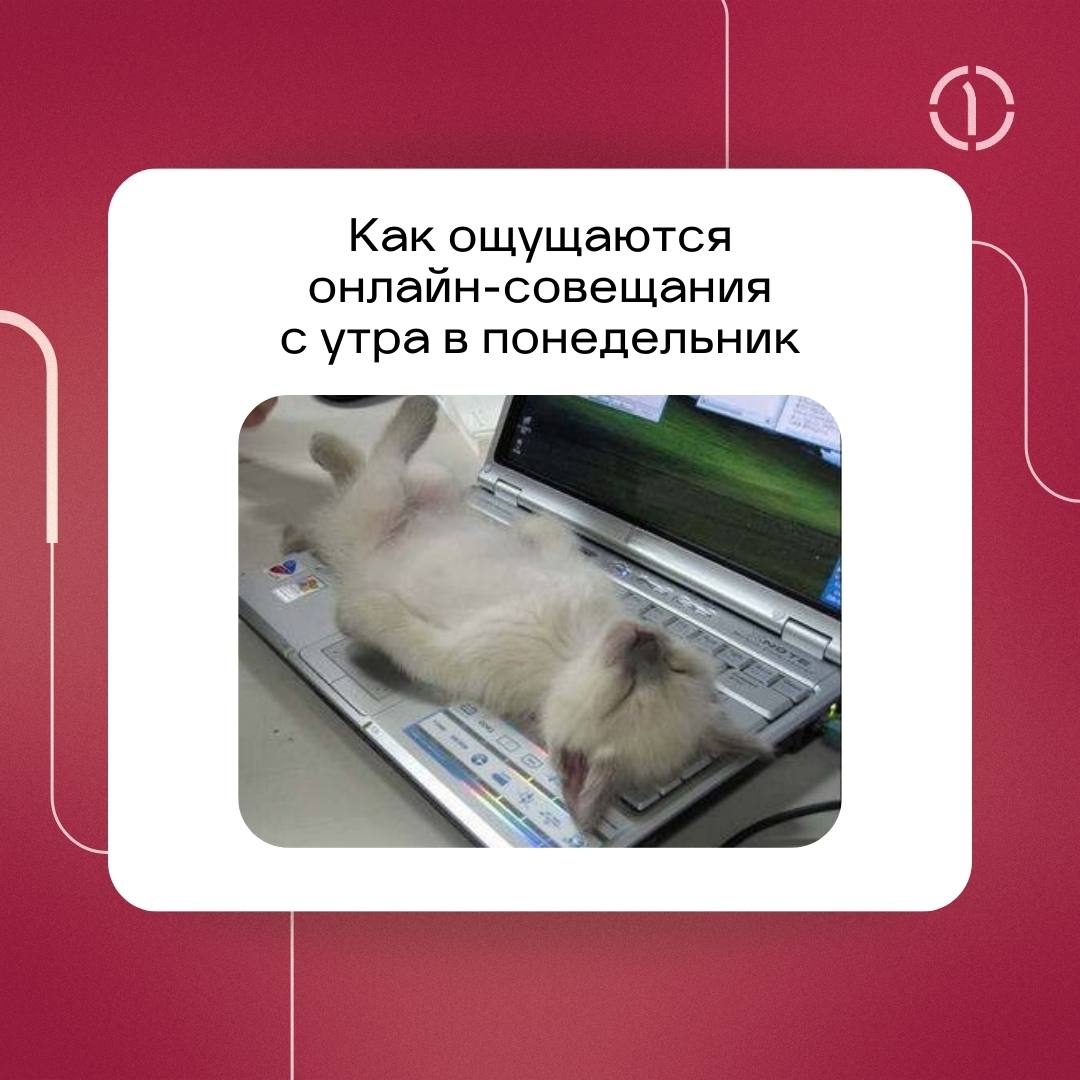 ☕️ Пахнет кофе и созвонами? Это понедельник!
Выходные имеют одну ужасную вредную привычку — они всегда заканчиваются, и приходится возвращаться в офисы | Сетка — социальная сеть от hh.ru