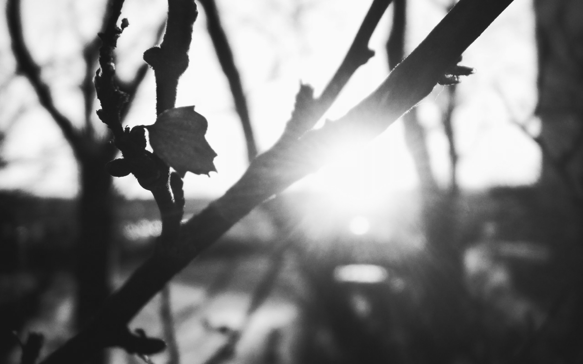 С началом новой недели, с понедельником! Пора заняться тем, что давно откладывали. Эта неделя обязательно принесет вам новые возможности и будет повод радости. Все только в наших руках | Сетка — социальная сеть от hh.ru