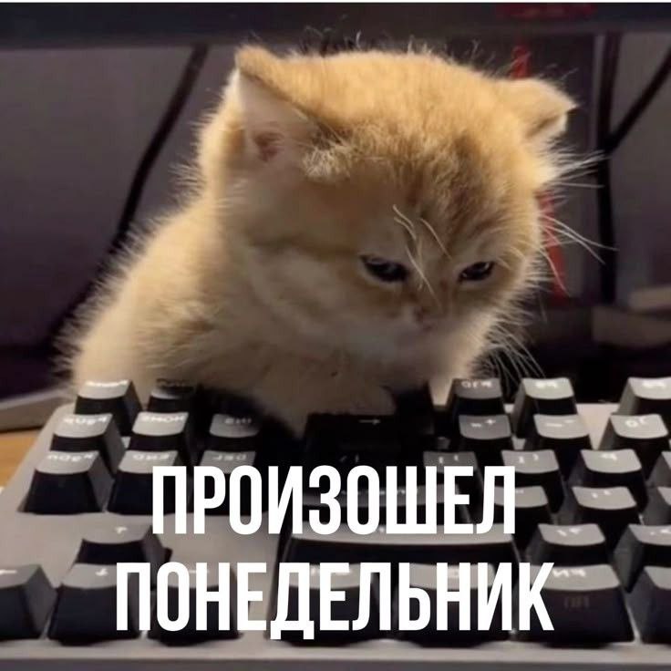 Труженики! 🐝
Всех с началом новой рабочей недели!
Как вы провели выходные? Готовы к новым свершениям? | Сетка — социальная сеть от hh.ru