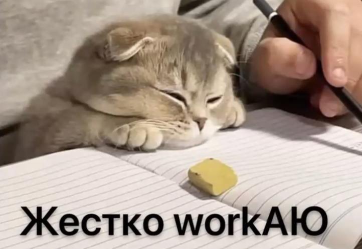 Мы в поиске коллег!
1. Head of SMM — эксперт в управлении командой и соцсетями, а также в стратегиях продвижения и создании вовлекающего контента. Подробнее можно ознакомиться тут.
2 | Сетка — социальная сеть от hh.ru