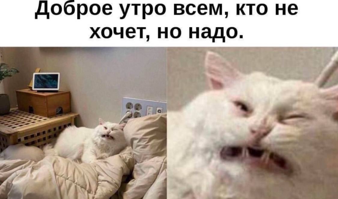 Ну и мы все понимаем и желаем хорошего дня 💖🤞 | Сетка — социальная сеть от hh.ru