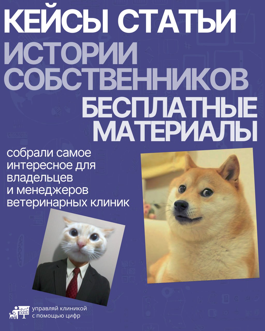 Собрали полезные материалы, которые пригодятся владельцам ветеринарных клиник — от начинающих до самых опытных | Сетка — социальная сеть от hh.ru