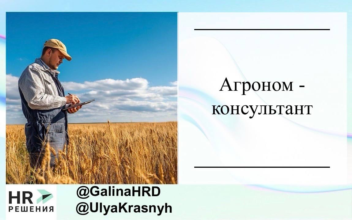 📌 Рубрика актуальные вакансии | Сетка — социальная сеть от hh.ru