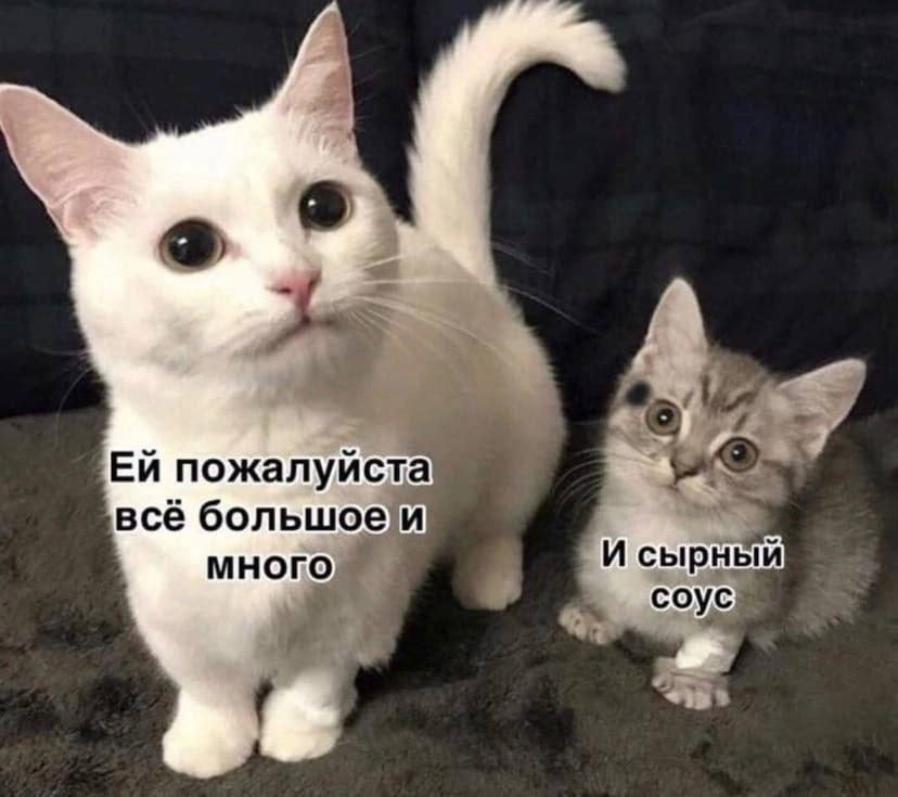 как я ищу работу | Сетка — социальная сеть от hh.ru