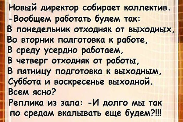 Действительно 😂 | Сетка — социальная сеть от hh.ru