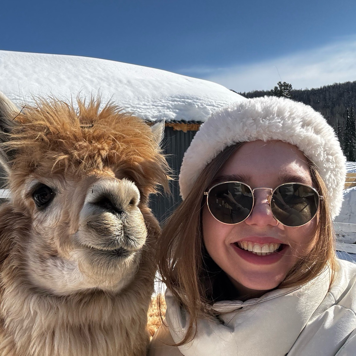 Anna Milovanova | Сетка — социальная сеть от hh.ru