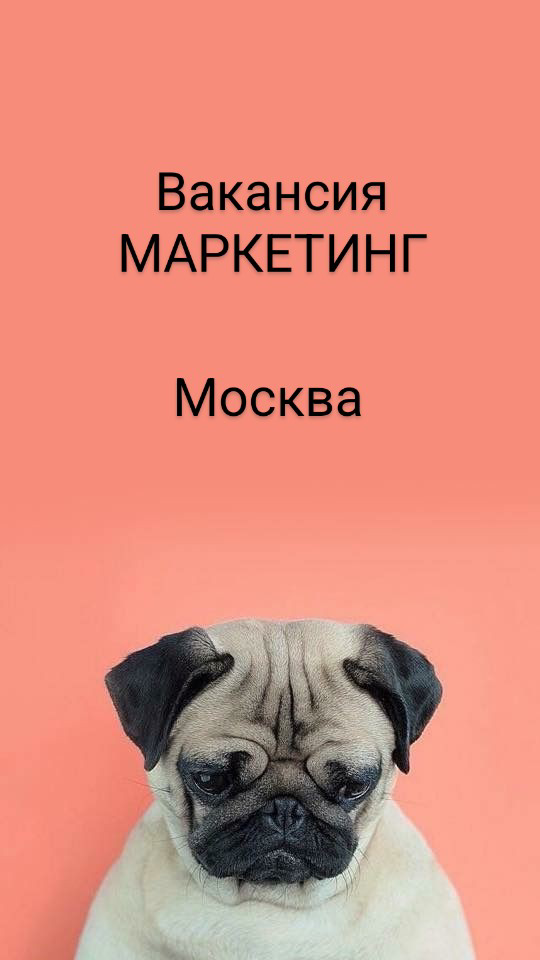 #вакансия #маркетинг
Ищем Лидера маркетинговых стратегий по направлению Турция (Анталия, Бодрум, Стамбул) в Туроператор премиального сегмента. Вакансия на постоянную работу с полной занятостью | Сетка — социальная сеть от hh.ru