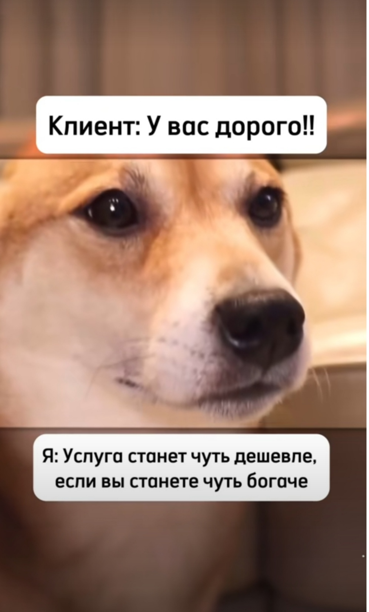 системные продажи, которые превращают “нет” в “да” | Сетка — социальная сеть от hh.ru