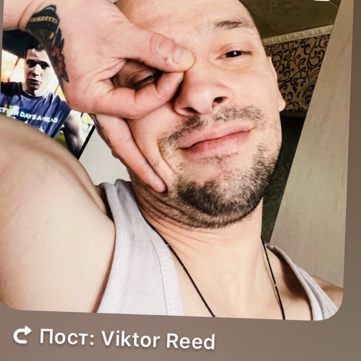 Viktor Navruzmamadov | Сетка — социальная сеть от hh.ru