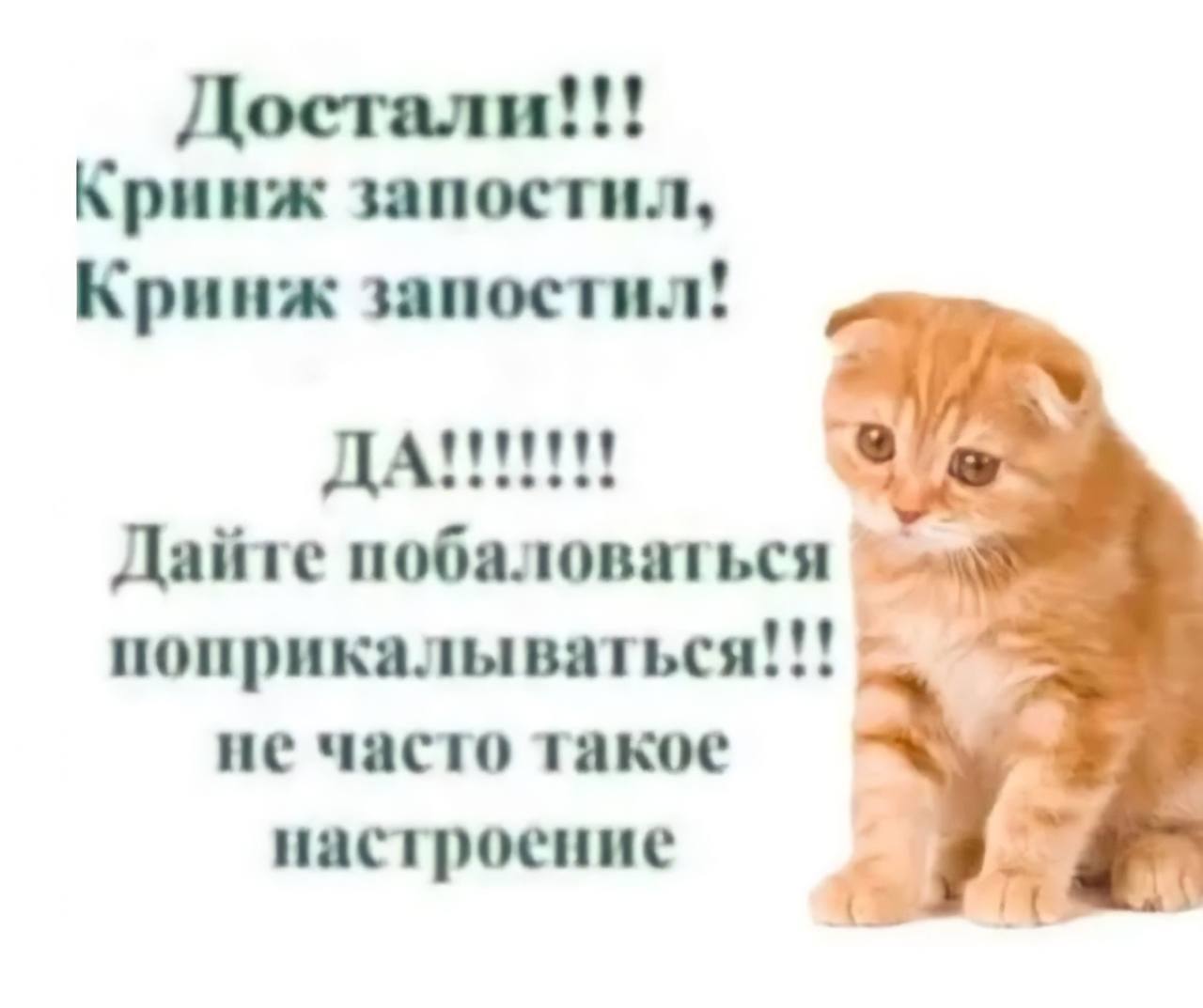 🧚🏿‍♂️ | Сетка — социальная сеть от hh.ru