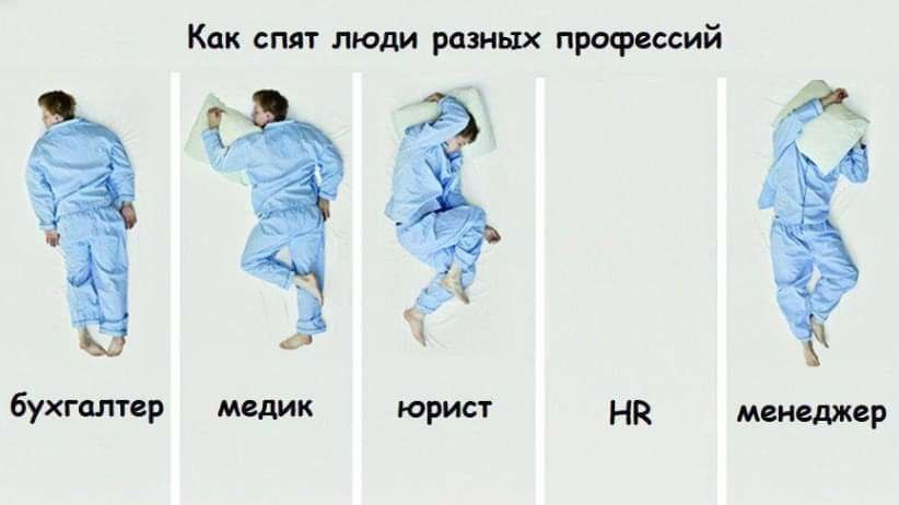 Сетка — социальная сеть от hh.ru