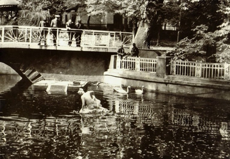Пруд с лебедями в парке "Центральный"
📷 oldstavhistory | Сетка — социальная сеть от hh.ru