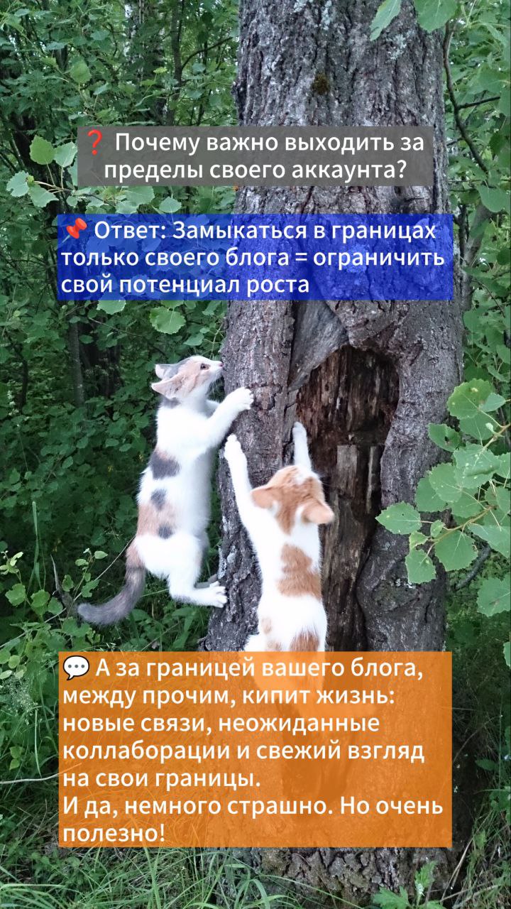 🟢 Напилила сегодня полезных сторис в формате вопрос-ответ
Сейчас подумала, что грех пользе пропадать через сутки 🤣
Оставлю здесь, потому что такие вопросы мне задают с завидной регулярностью😀
Это исто... | Сетка — социальная сеть от hh.ru