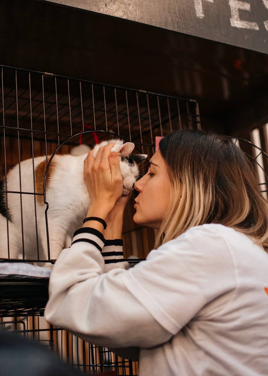 🐈WOOF FEST на Хлебозаводе
26 апреля с 11:00 до 19:00 день собачек🦮
27 апреля с 11:00 до 19:00 день котиков🐈‍⬛
Что ждёт посетителей фестиваля:
▪️Более 300 пушистиков
▪️Развлечения и фотозоны
▪️Полезные... | Сетка — социальная сеть от hh.ru